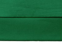 Свитшот Motion унисекс с начесом, зелёный, изображение 4