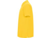Рубашка поло Pegaso мужская, желтый, изображение 2