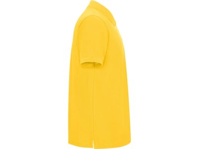 Рубашка поло Pegaso мужская, желтый, изображение 3