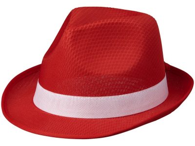 Лента для шляпы Trilby, белый — 38664010_2, изображение 3