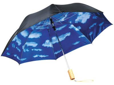 Зонт Blue skies 21 двухсекционный полуавтомат, черный, изображение 3