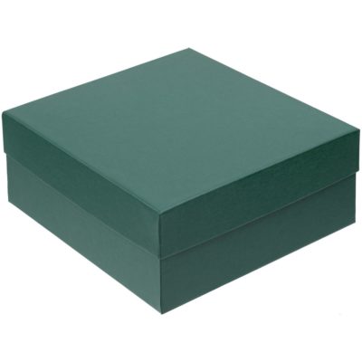 Коробка Emmet, большая, зеленая, изображение 1