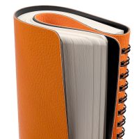 Ежедневник Strep, недатированный, оранжевый, изображение 5