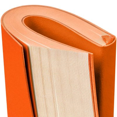 Ежедневник Flat Mini, недатированный, оранжевый, изображение 4