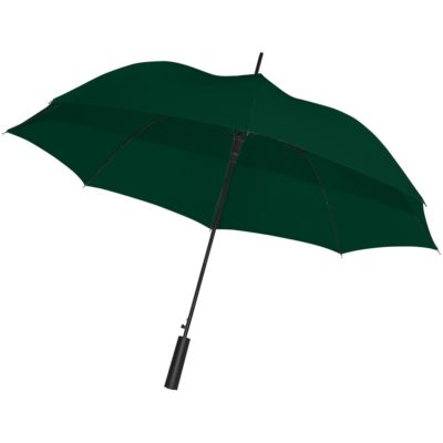 Зонт-трость Dublin , зеленый, изображение 1