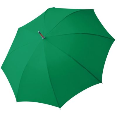 Зонт-трость Oslo AC, зеленый, изображение 1