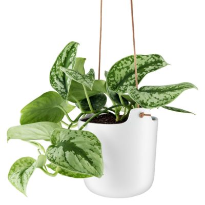Горшок для растений Flowerpot, подвесной, белый, изображение 3