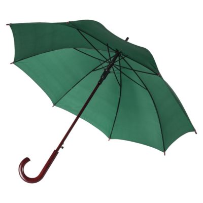 Зонт-трость Standard, зеленый, изображение 1