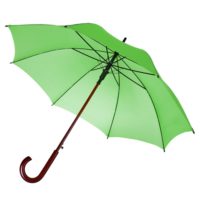 Зонт-трость Standard, зеленое яблоко, изображение 1