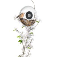 Кормушка для птиц Window Bird Feeder, прозрачная, малая, изображение 4