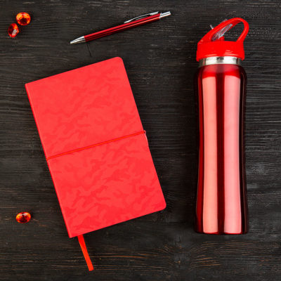 Набор подарочный SUNSHINE: бутылка для воды, бизнес-блокнот, ручка, коробка со стружкой, красный — 35043/08_1, изображение 1