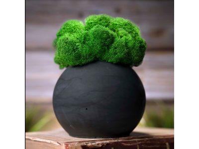 Кашпо бетонное со мхом (сфера-антарцит мох зеленый) — 4500600_2, изображение 6