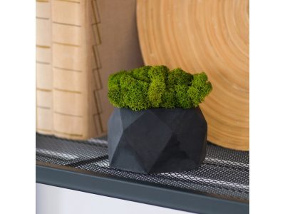 Кашпо бетонное со мхом (бета-антрацит мох зеленый), QRONA — 4500612_2, изображение 6