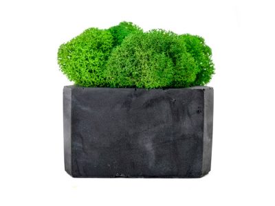 Кашпо бетонное со мхом (гама-антрацит мох зеленый), QRONA — 4500615_2, изображение 2