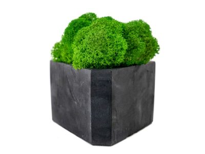 Кашпо бетонное со мхом (гама-антрацит мох зеленый), QRONA — 4500615_2, изображение 3