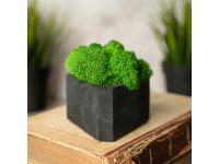 Кашпо бетонное со мхом (гама-антрацит мох зеленый), QRONA — 4500615_2, изображение 5