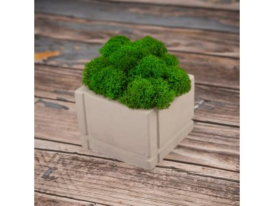Кашпо бетонное со мхом (квадрат-циркон мох зеленый), QRONA — 4500618_2, изображение 4