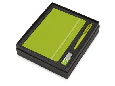 Подарочный набор Vision Pro Plus soft-touch с флешкой, ручкой и блокнотом А5, зеленый — 700342.03_2, изображение 2