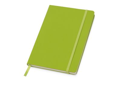 Подарочный набор Vision Pro Plus soft-touch с флешкой, ручкой и блокнотом А5, зеленый — 700342.03_2, изображение 6