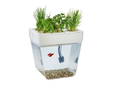 Набор для выращивания растений и ухода за рыбкой Акваферма, изображение 1