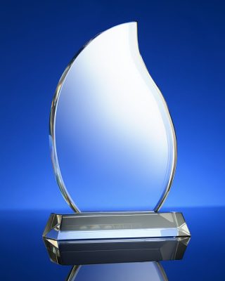 Награда Phoenix, изображение 2