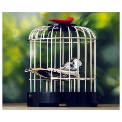 Музыкальный заварочный набор «Певчая птичка», изображение 3