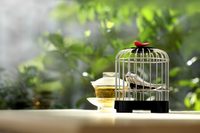 Музыкальный заварочный набор «Певчая птичка», изображение 4