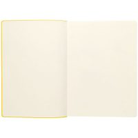 Ежедневник Flexpen, недатированный, серебристо-желтый, изображение 9